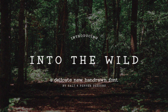 Discover the Vintage Charm of the Into the Wild Font